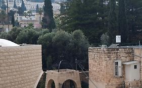 Diamond Apartment In Haifa